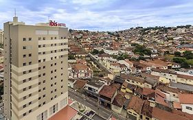 Ibis Jacarei